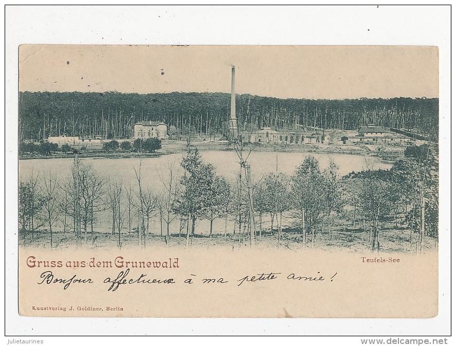 Gruss Aus Dem Grunewald  Cpa Bon état - Grunewald