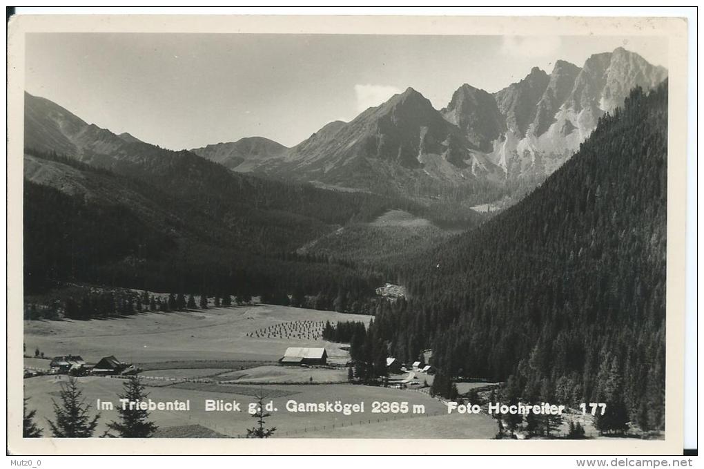 AK 0146  Im Triebental - Blick Gegen Die Gamskögel / Foto Hochreiter Um 1930-50 - Rottenmann