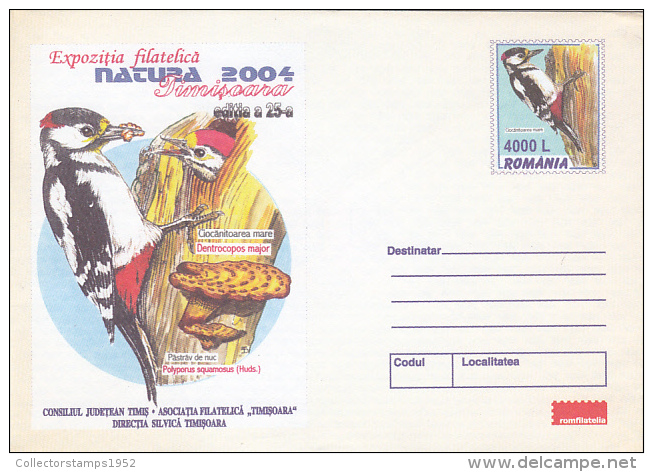 21092- WOODPECKER, BIRDS, MUSHROOMS, COVER STATIONERY, 2004, ROMANIA - Piciformes (pájaros Carpinteros)