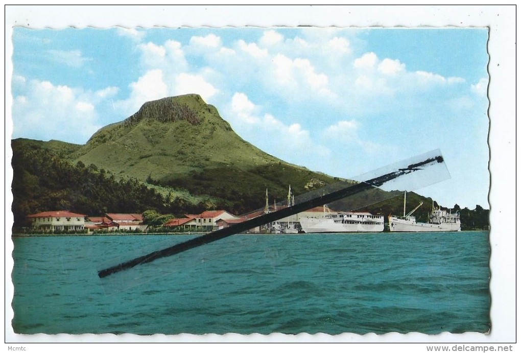 CPSM - Port D' Uturoa (Raiatea) - Iles Sous Le Vent - Polynésie Française - Polynésie Française