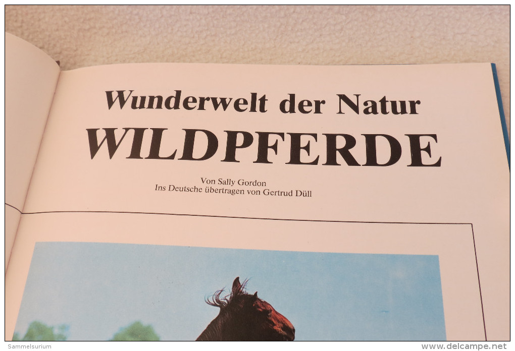 Sally Gordon "Wunderwelt Der Natur Wildpferde" - Animales