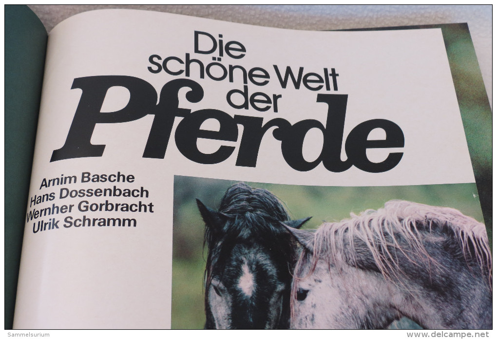 "Die Schöne Welt Der Pferde" Präsentiert Von Alwin Schockemöhle - Animaux