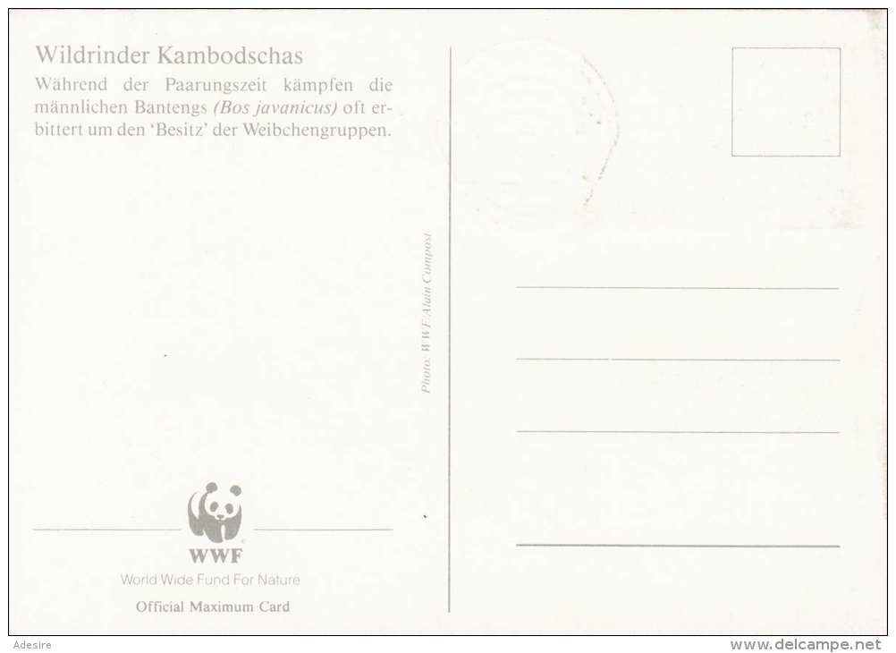 R.P.KAMPUCEA - WWF Maximumkarte 1986, Wildrinder Kambodschas, Karte Mit Zugehöriger Marke - Lettres & Documents