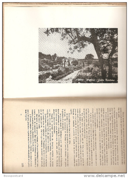 Nelas - Canas de Senhorim - Subsídios para a História da Beira - José Pinto Loureiro - Viseu