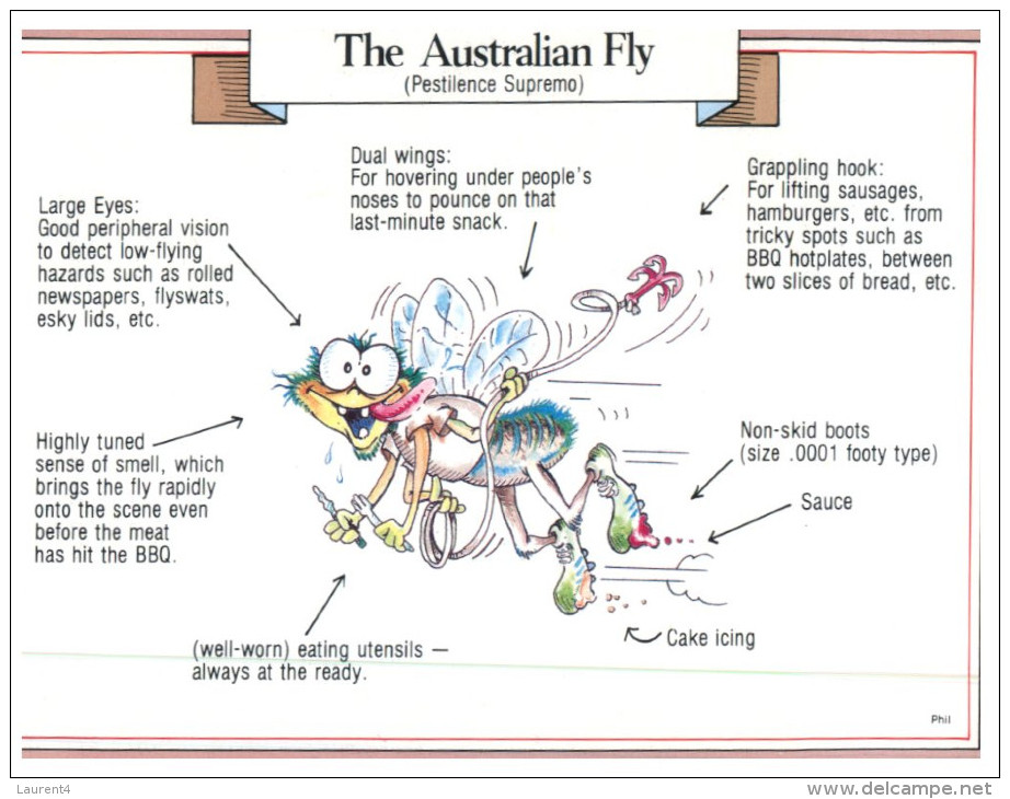 (560) Australia - Fly (humour) - Outback