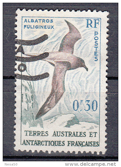 France Antartica 1959 Mi Nr  13  Vogel, Bird, Albatros - Oblitérés