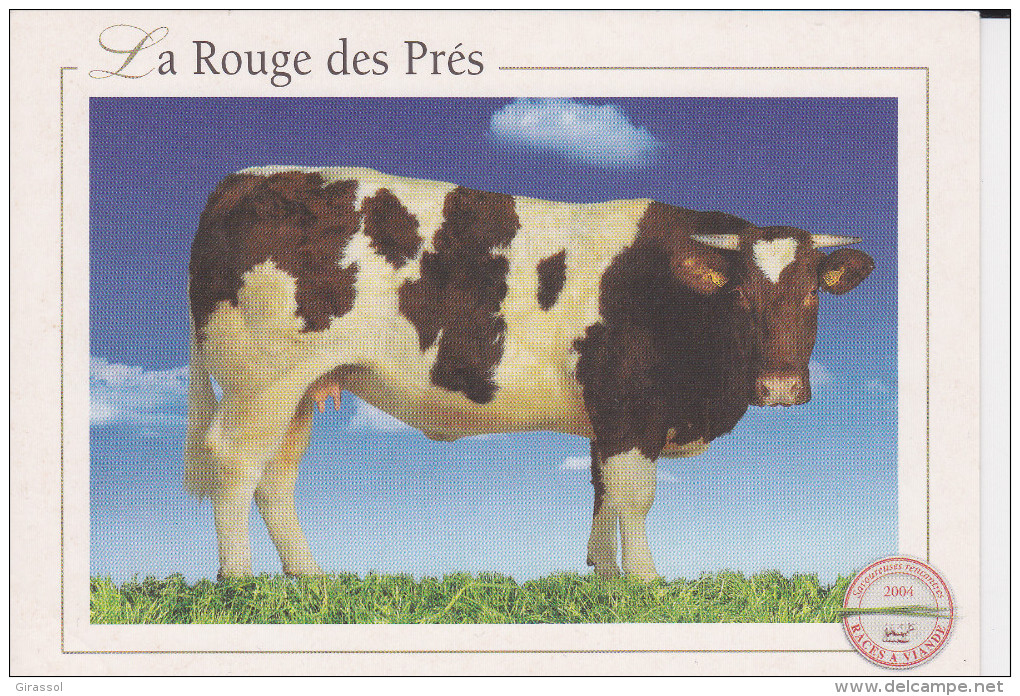 CPM VACHE LA ROUGE DES PRES RACES A VIANDE 2004 - Vaches