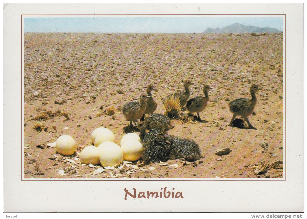 Namibia - Animal - Ostrich Chicks - Nice Stamp - Namibia