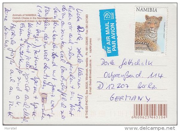 Namibia - Animal - Ostrich Chicks - Nice Stamp - Namibia