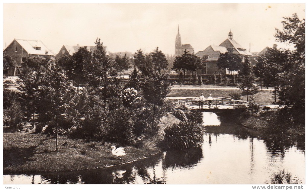 Schiedam - Juliana Park Met Vijver     - Zuid-Holland / Nederland - Schiedam