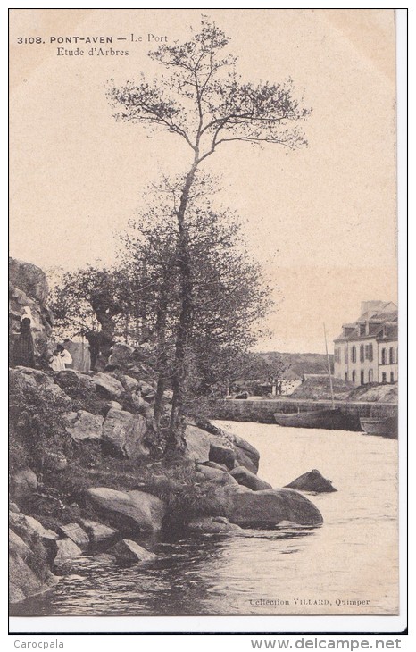 Carte 1910 PONT AVEN / LE PORT : ETUDE D'ARBRES - Pont Aven