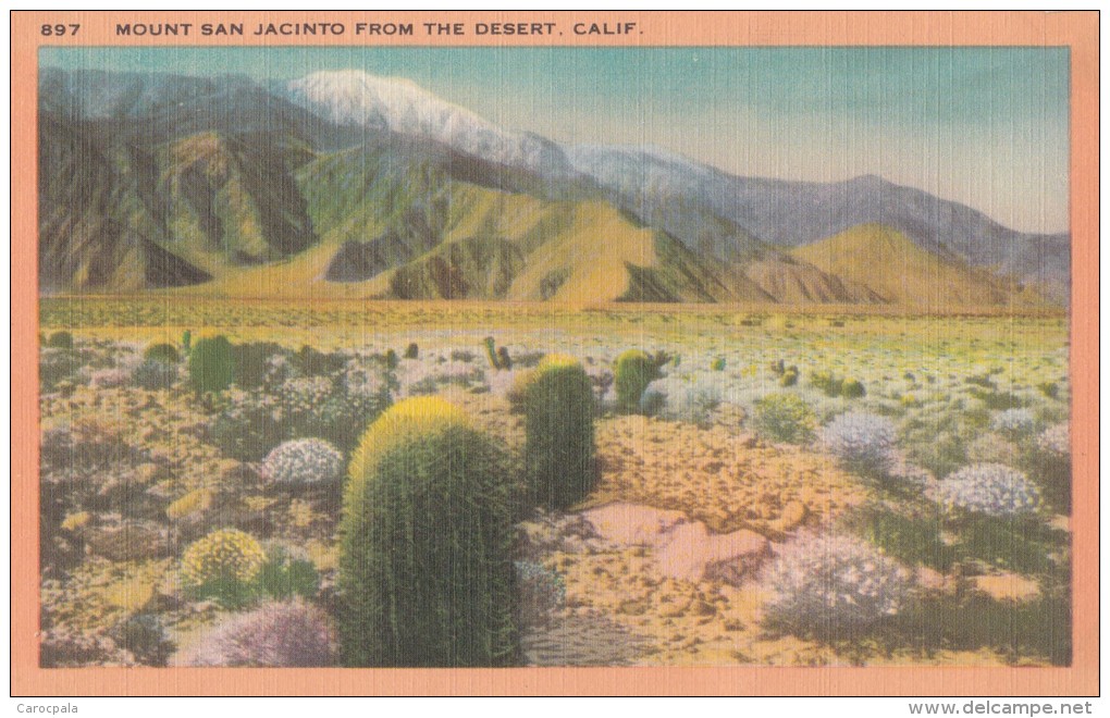 Carte Vers 1920 MOUNT SAN JACINTO FROM THE DESERT , CALIF - Autres & Non Classés