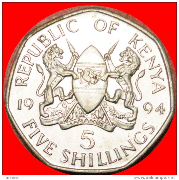 * HEPTAGON: KENYA  5 SHILLINGS 1994 MINT LUSTRE!  LOW STARTNO RESERVE! - Kenya