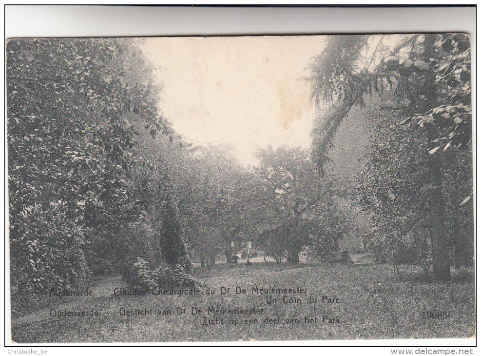 Oudenaarde, Oudenaerde, Gesticht Van Dr De Meulemeester, Zicht Op Een Deel Van Het Park (pk19517) - Oudenaarde