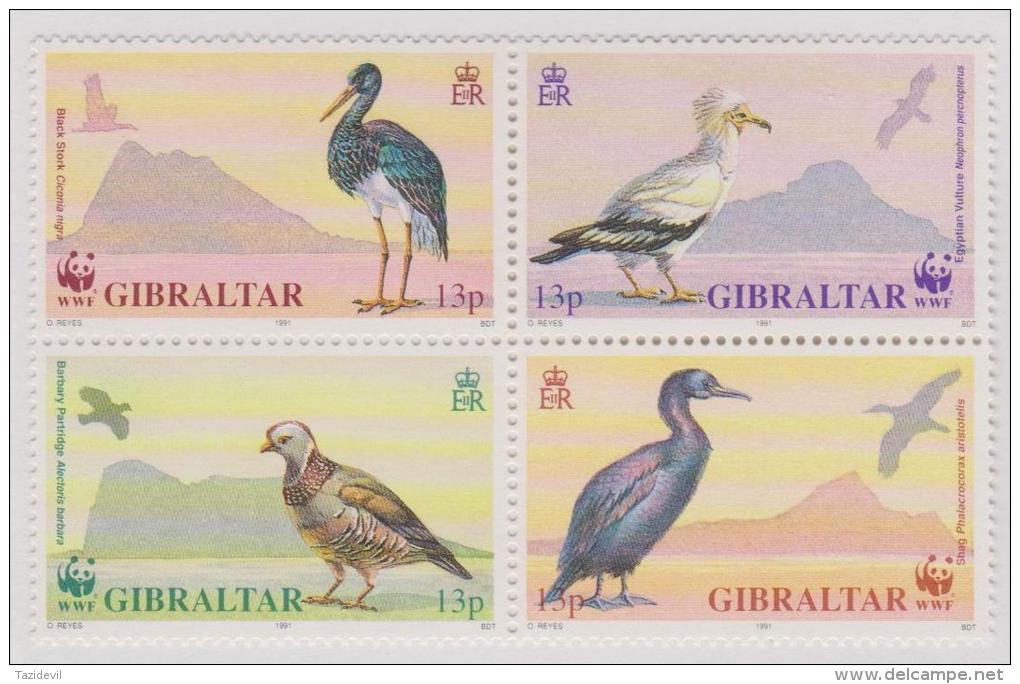 GIBRALTAR - MNH ** 1991 WWF World Wildlife Fund Birds Block Of Four. Panda. Scott 594a - Gibraltar