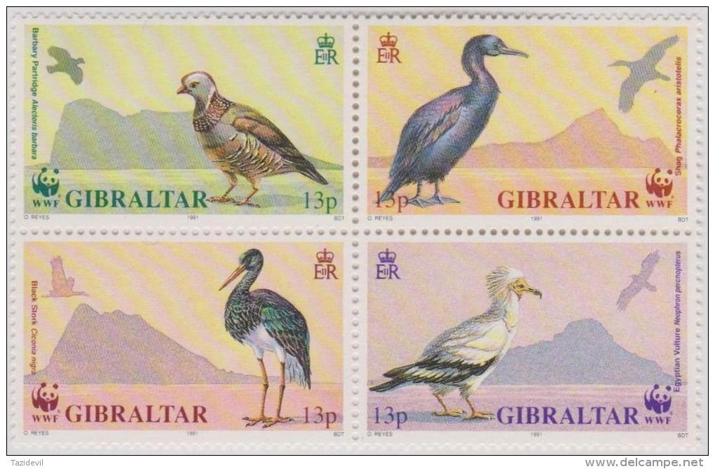 GIBRALTAR - MNH ** 1991 WWF World Wildlife Fund Birds Block Of Four. Panda. Scott 594a - Gibraltar