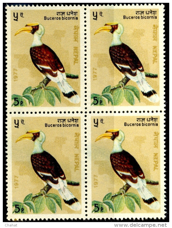 BIRDS-HORN BILLS-NEPAL-BLOCK OF 4-MNH-A5-583 - Specht- & Bartvögel