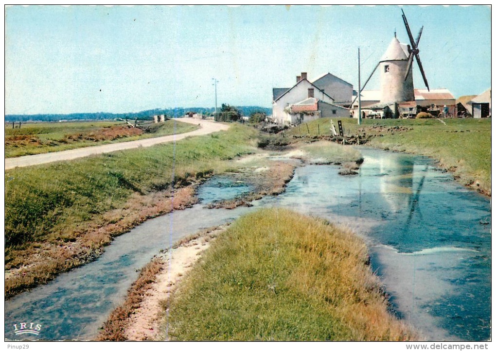 MOULIN VENDEEN     MARAICHIN   BOURRINE  MARAIS - Autres & Non Classés