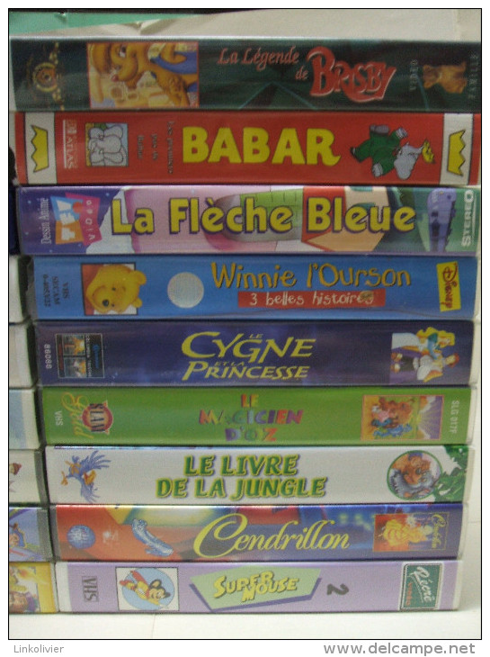 21x K7 CASSETTE VIDEO VHS Secam: Princes Et Princesses, Magic Baskets, L'Incroyable Voyage 2, Oui-Oui, Winnie L'Ourson.. - Konvolute