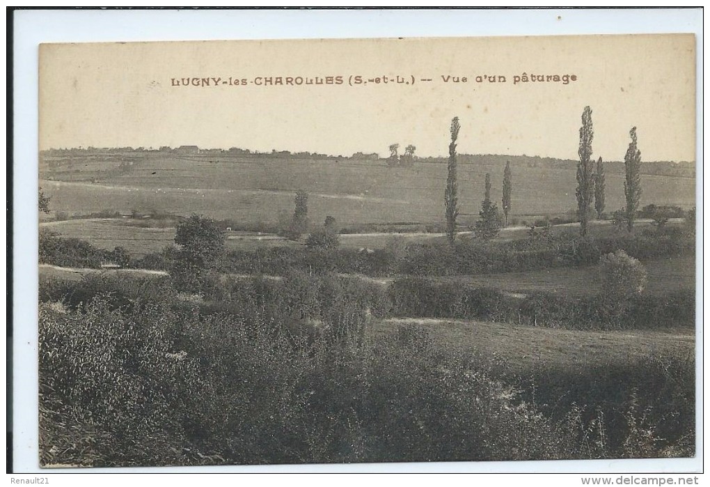 Lugny-les-Charolles-Vue D'un Pâturage-(CPA) . - Autres & Non Classés