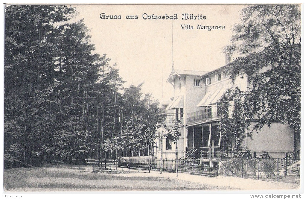 Gruss Aus Ostseebad GRAAL MÜRITZ Villa Margarete 3.8.1908 Gelaufen - Graal-Müritz