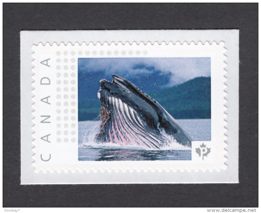 WHALE,  Picture Postage MNH Stamp, Canada 2014 [p5mL3/1] - Marine Life