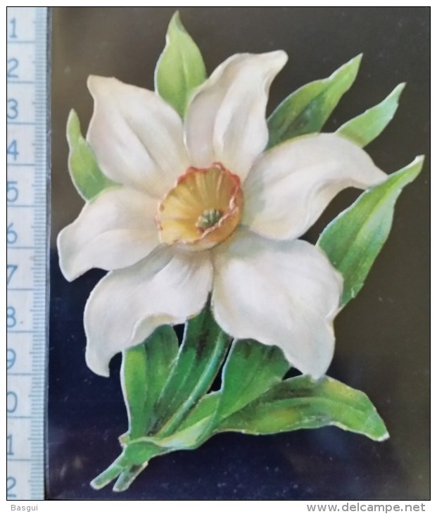 Chromo Decoupis, Gaufré A Coller. Theme Floral, Fleur, Vers 1900 - Flowers