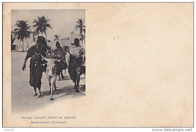 Sénégal - Saint-Louis - Précurseur - Groupe Laoubé Allant Au Marché - Sénégal