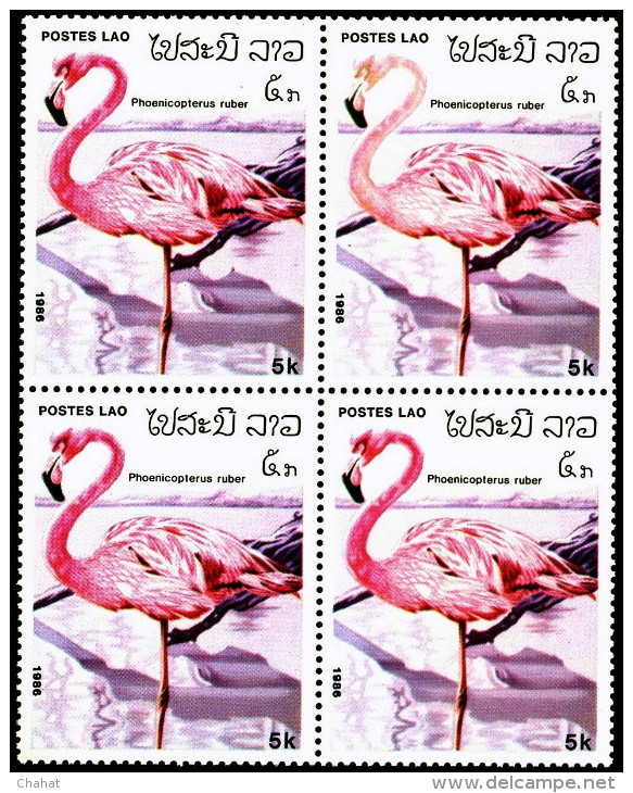 BIRDS-FLAMINGOS-BLOCK OF 4-LAOS-MNH-A5-535 - Flamingo