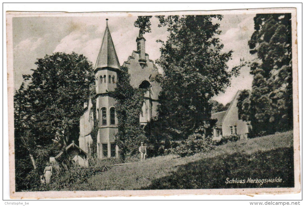 AK Schloss Herzogswalde (pk20763) - Herzogswalde