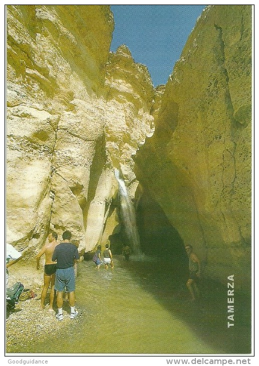 TUNISIA-TUNISIE - TAMERZA - SUD TUNISIEN- LA CASCADE- THE WATERFALL-DER WASSERFALL - Tunisia