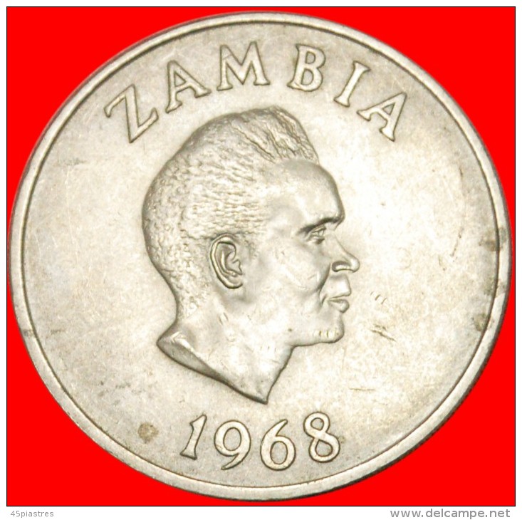 * REEDBUCK: ZAMBIA 20 NGWEE 1968! LOW START  NO RESERVE! - Sambia