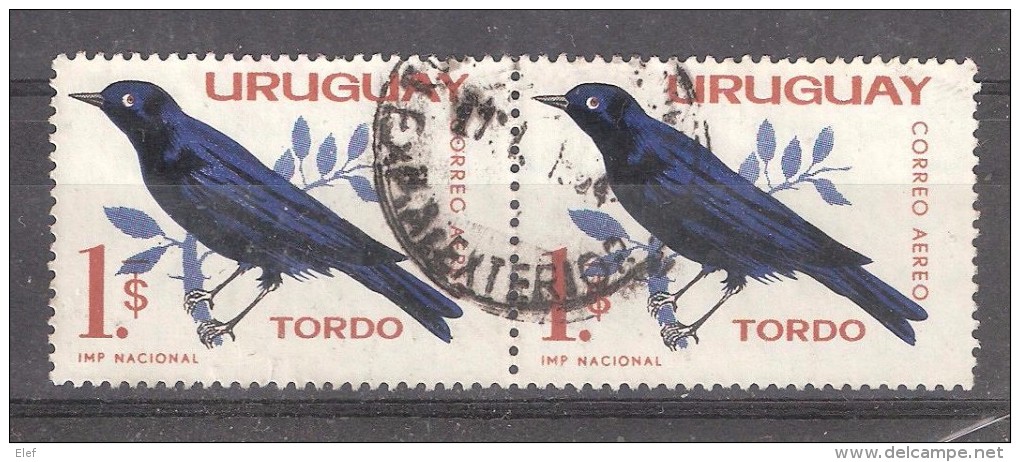 URUGUAY, Paire Oiseau / Bird  / Pajaro TORDO , Obl TB - Colibris