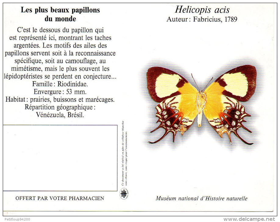 CALENDRIER 1995  PHARMACIE  Papillon - Tamaño Pequeño : 1991-00