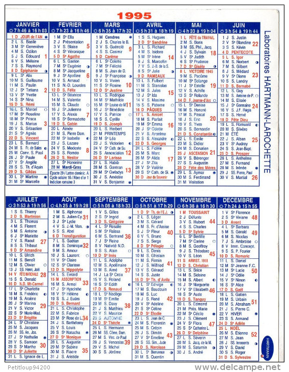 CALENDRIER 1995  PHARMACIE  Papillon - Tamaño Pequeño : 1991-00