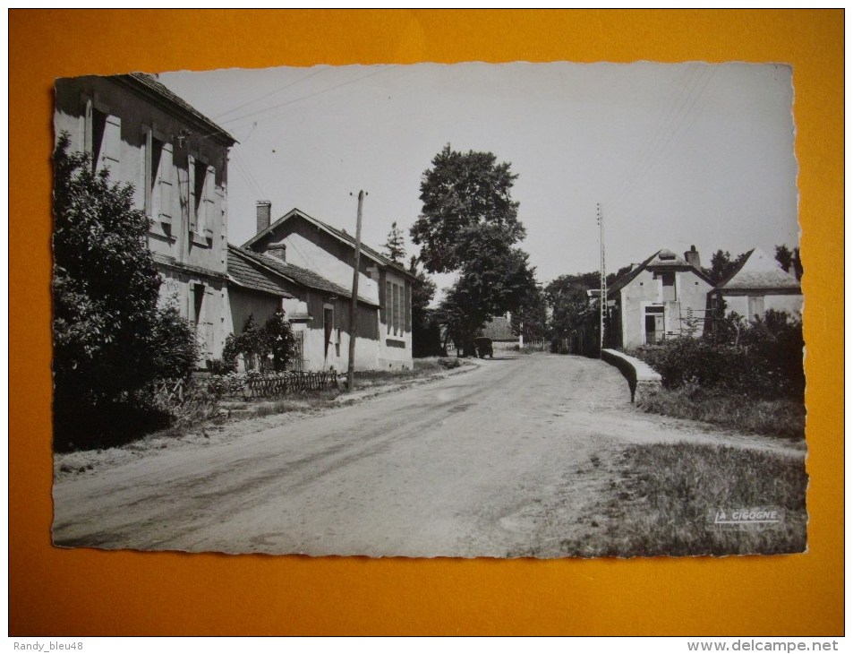 Cpsm SAINT RABIER  -  24  -  Avenue De La Gare  -  Dordogne - Autres & Non Classés