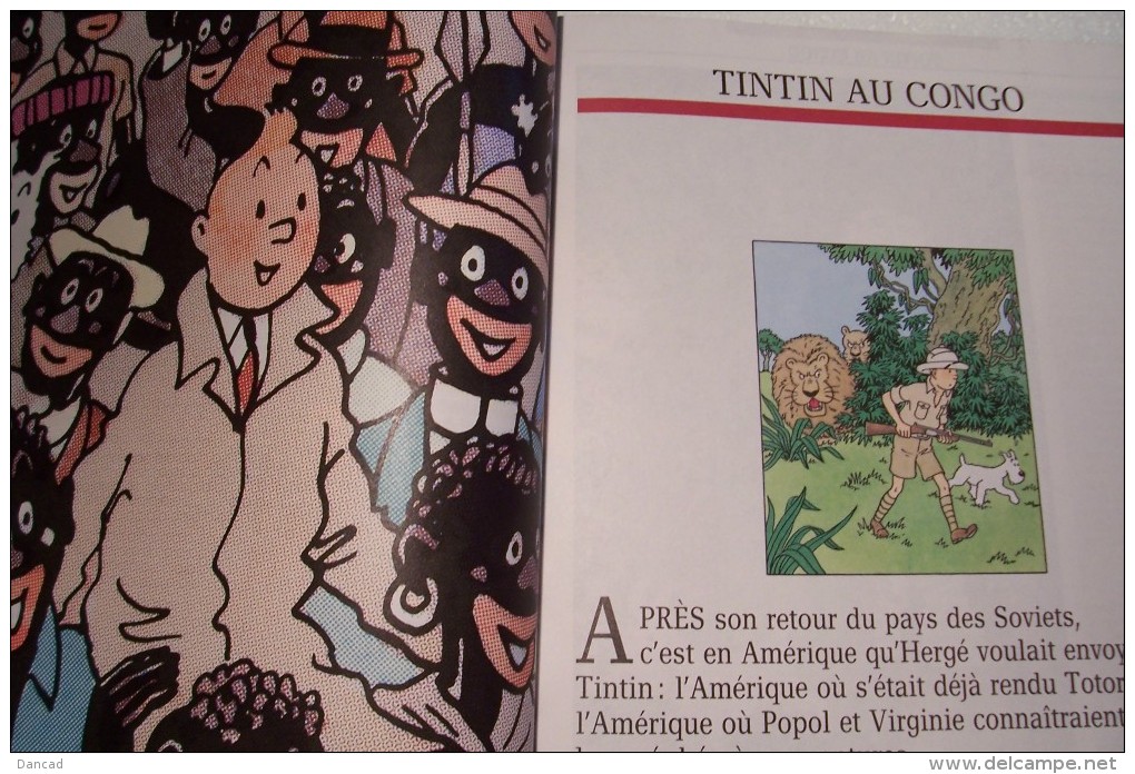 TINTIN  ET  LE  MONDE  D'HERGE  ( Benoit  Peeters )  -1988 France-Loisirs - Tintin
