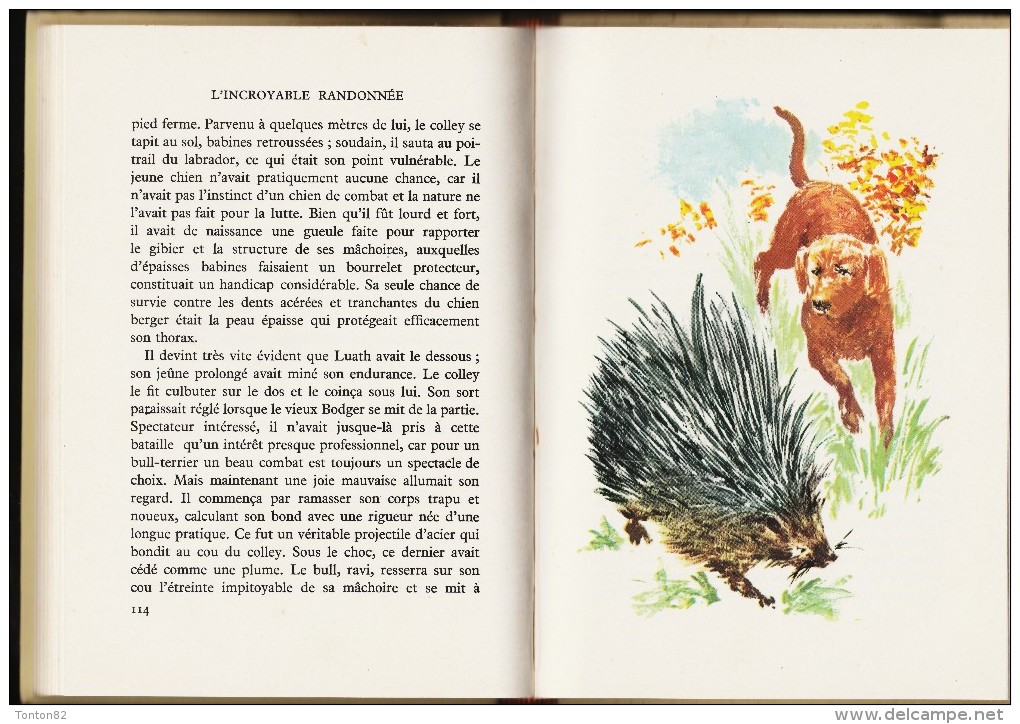 Sheila Burnford - L'incroyable Randonnée - Bibliothèque Rouge Et Or Souveraine N° 617 - ( 1965 ) . - Bibliothèque Rouge Et Or