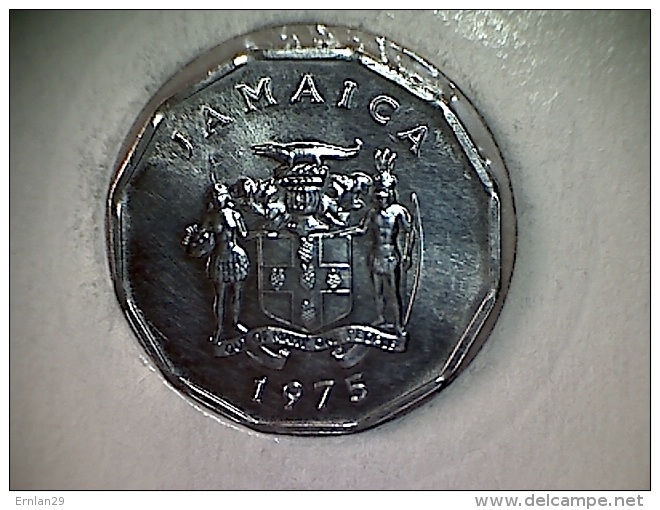 Jamaique 1 Cent 1975 - Jamaique