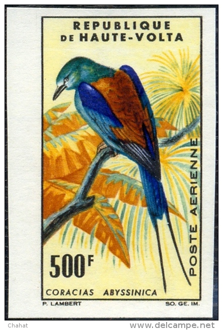 BIRDS-SUNBIRDS & ROLLER-SET OF 4-IMPERF-UPPER VOLTA-1965-MNH-A5-514 - Spechten En Klimvogels