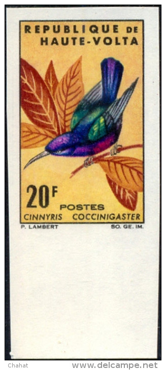 BIRDS-SUNBIRDS & ROLLER-SET OF 4-IMPERF-UPPER VOLTA-1965-MNH-A5-514 - Specht- & Bartvögel