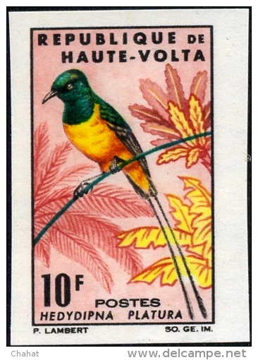 BIRDS-SUNBIRDS & ROLLER-SET OF 4-IMPERF-UPPER VOLTA-1965-MNH-A5-514 - Specht- & Bartvögel