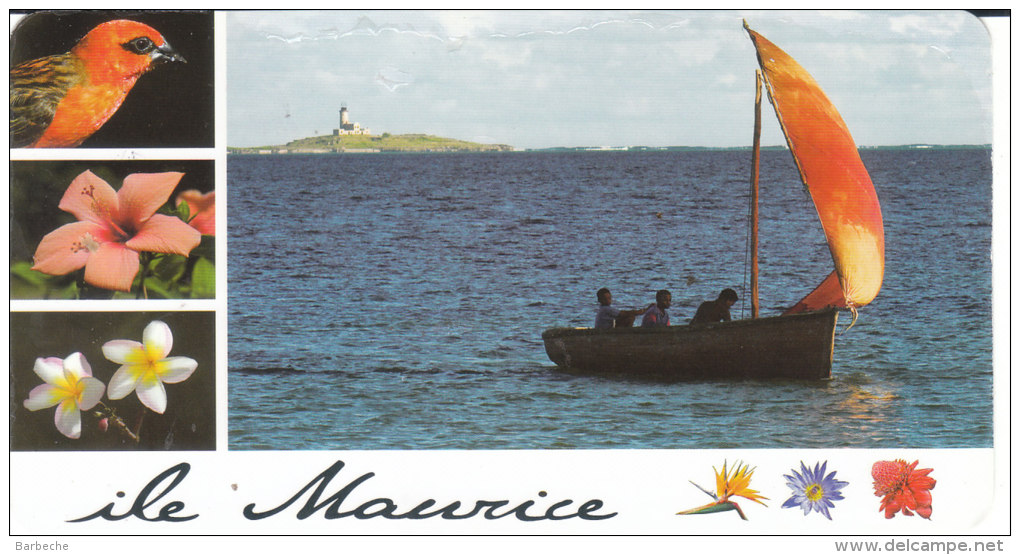 ILE MAURICE .- Retour De La Pêche  à VIEUX GRAND PORT - Mauritius