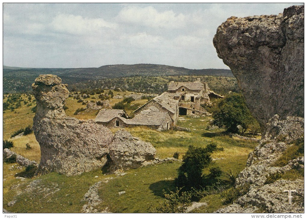 12 - CASSE NOIR - ROQUESSALTE - Ferme Et Bergerie - Altri & Non Classificati