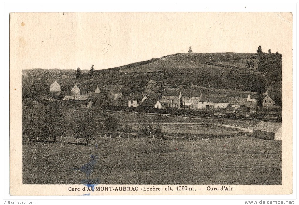 AUMONT AUBRAC -VUE SUR LA GARE--LE TRAIN - Aumont Aubrac