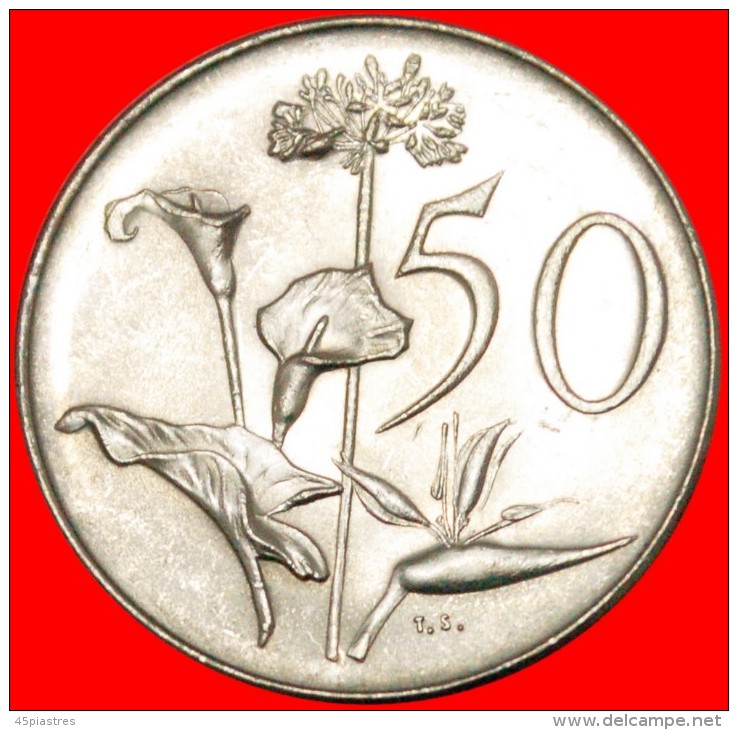 * FLOWERS: SOUTH AFRICA  50 CENTS 1966! INTERESTING TYPE WITH Jan Van Riebeeck (1619-1677) AND ENGLISH LEGEND~LOW START - Südafrika