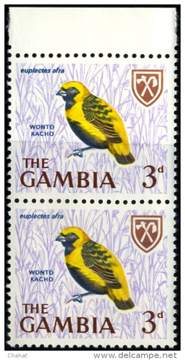 BIRDS-YELLOW CROWNED BISHOP-PAIR-THE GAMBIA-MNH-A5-519 - Piciformes (pájaros Carpinteros)