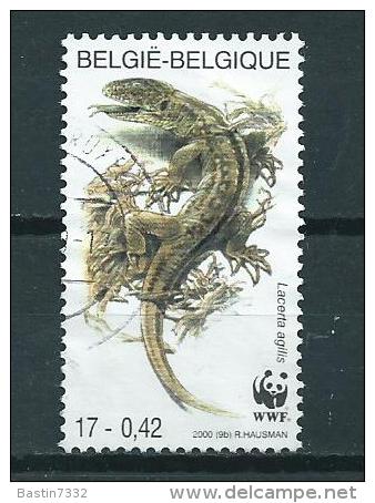 2000 Belgium WWF,reptiles Used/gebruikt/oblitere - Gebruikt