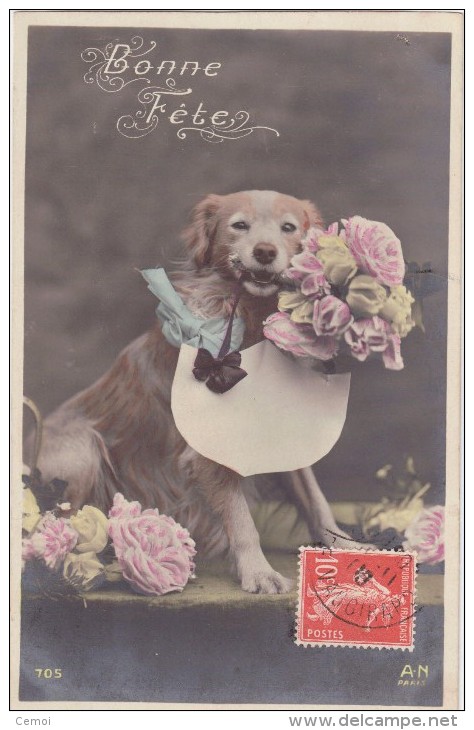 CPA - "Bonne Fête" - Chien Avec Des Fleurs - 1908 - Dressed Animals