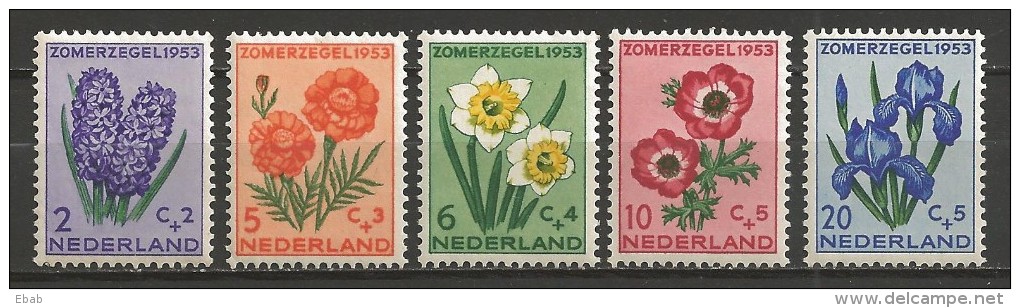 Netherlands 1953 NVPH 602-606 MNH FLOWERS (A) - Ongebruikt